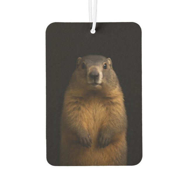 Black 4 Luxe Car Air Fresheners, Fluffy Marmot Air Freshener (Back)