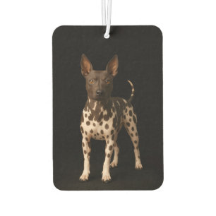 Black 4 Luxe Car Air Fresheners, Hairless Terrier Freshener