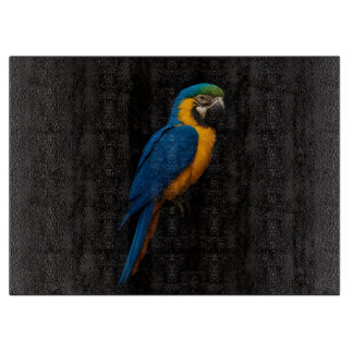 Black 4 Luxe Glass board Blue Yellow Macaw
