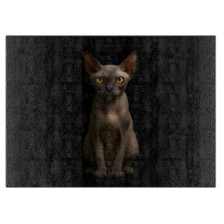 Black 4 Luxe Glass board Sphynx Cat