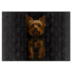 Black 4 Luxe Glass board Yorkshire Terrier