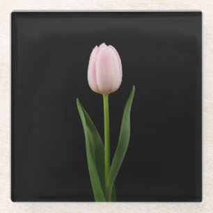 Black 4 Luxe Glass coaster, Blush Pink Tulip Glass Coaster