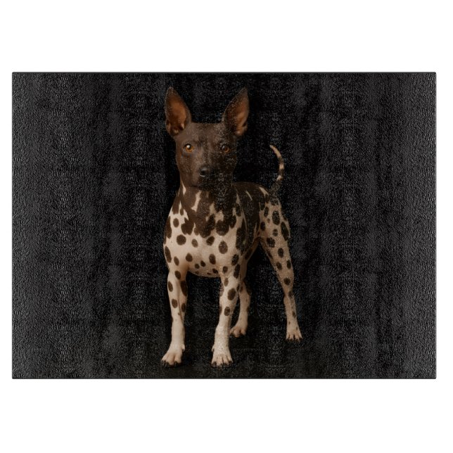 Black 4 Luxe Glass cutting board Hairless Terrier  (Front)