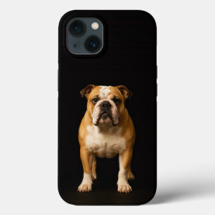 Black 4 Luxe iPhone 13, Stamina Bulldog 13 Case