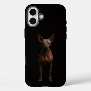 Black 4 Luxe iPhone 16 Plus, Argentina Pila Dog iPhone 16 Plus Case