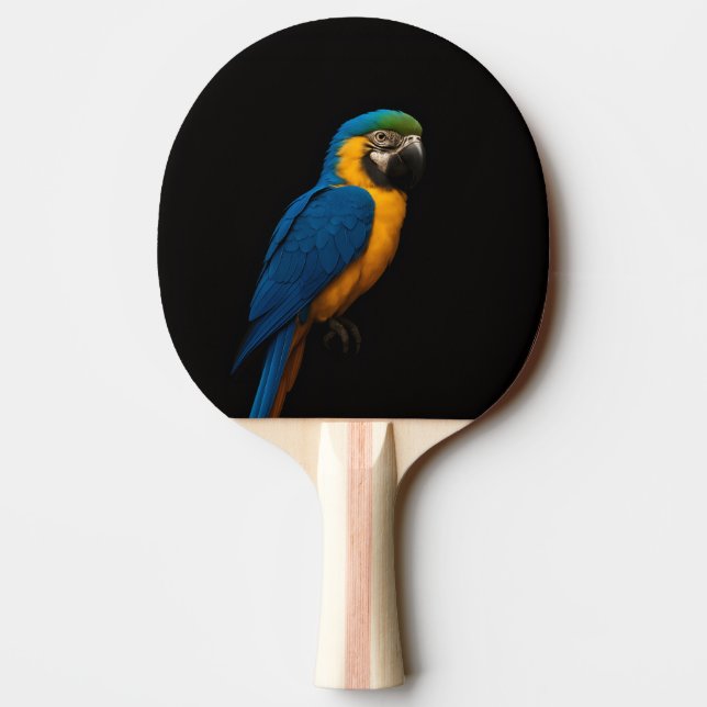 Black 4 Luxe ping pong paddle, Blue Yellow Macaw Ping Pong Paddle (Back)