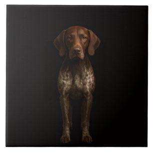 Black 4 Luxe Tile with German Pointer Dog