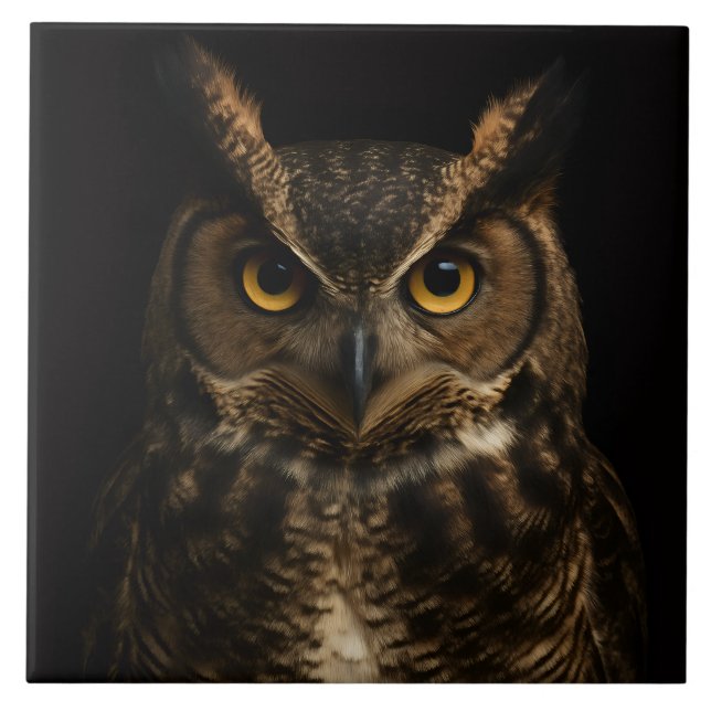 Black 4 Luxe Tile with Golden Eye Owl (Front)