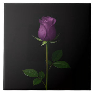Black 4 Luxe Tile with Royal Violet Rose