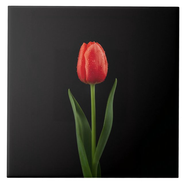 Black 4 Luxe Tile with Ruby Red Tulip (Front)