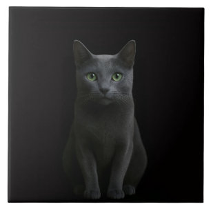 Black 4 Luxe Tile with Russian Blue Cat