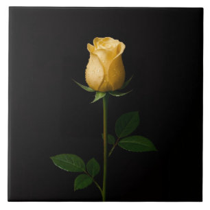 Black 4 Luxe Tile with Sunlit Yellow Rose