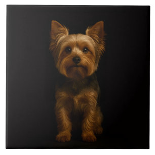 Black 4 Luxe Tile with Yorkshire Terrier