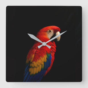 Black 4 Luxe Wall Clock with Scarlet Parrot
