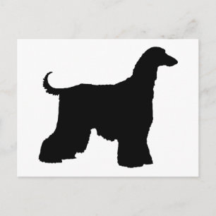 Black Afghan Hound Dog Postcard