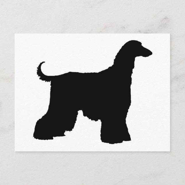 Black Afghan Hound Dog Postcard (Front)