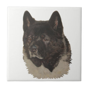 black akita with white chest dog portrait art tile