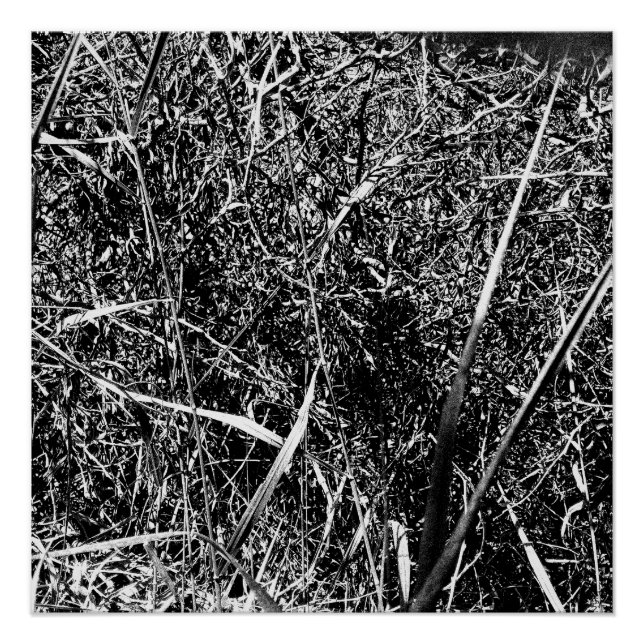 Black Alien Grass Poster (Front)