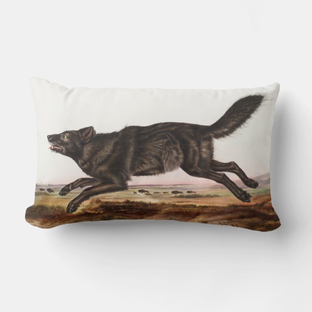 Black American Wolf (Canis lupus) Illustration Lumbar Pillow (Front)