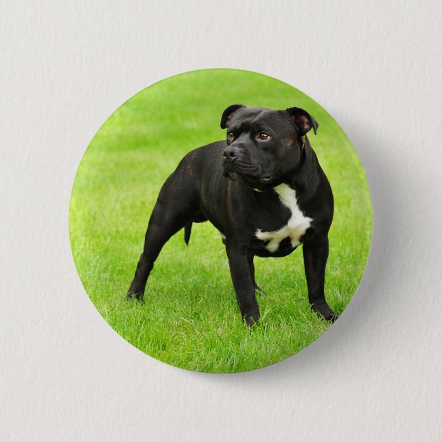 Black Amstaff 2 Inch Round Button (Front)