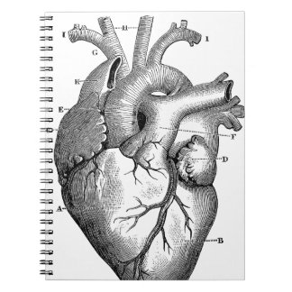 Black Anatomical Heart Notebook