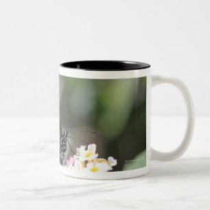 Black and blue butterfly on flower Two-Tone coffee mug