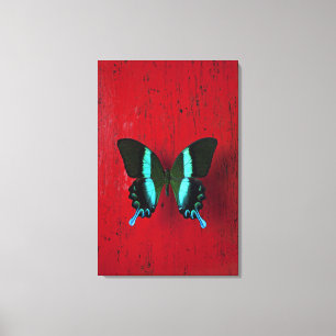 Black and blue butterfly on red wall canvas print