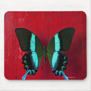 Black and blue butterfly on red wall mouse pad