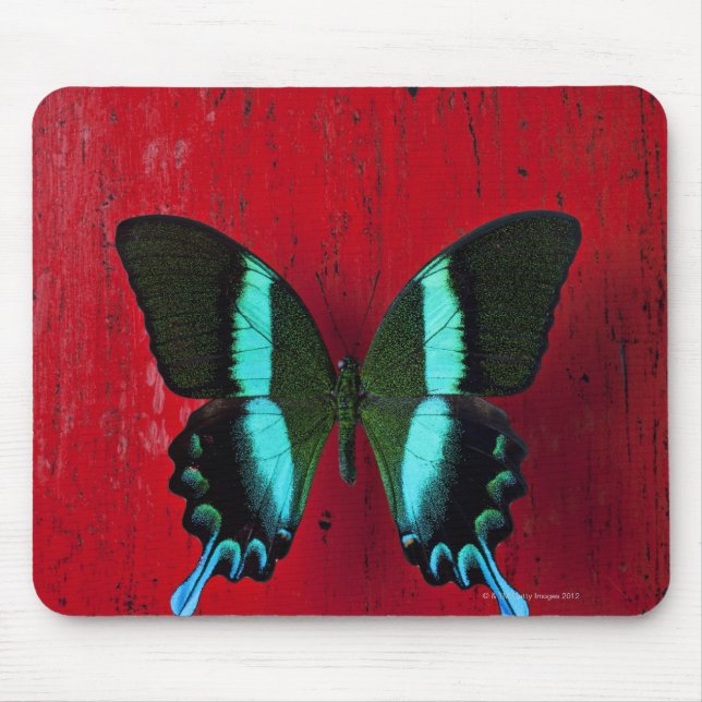 Black and blue butterfly on red wall mouse pad (Front)