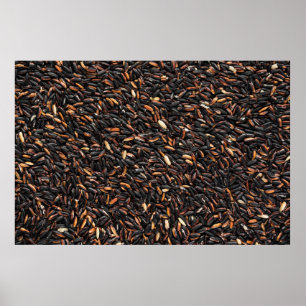 Black and brown bean lot poster