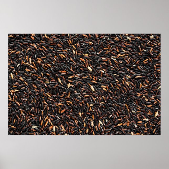 Black and brown bean lot poster (Front)