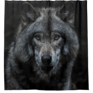BLACK AND BROWN WOLF PAINTING
