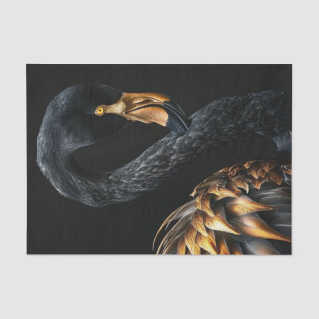 Black and Gold Flamingo5 Tissue Paper (Front)