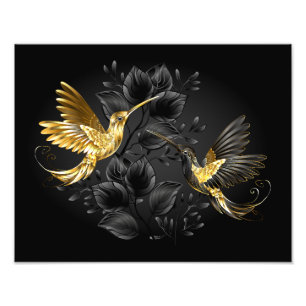 Black and Gold Hummingbird Photo Print