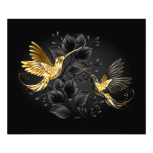 Black and Gold Hummingbird Photo Print