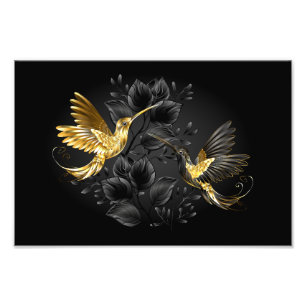 Black and Gold Hummingbird Photo Print