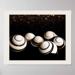 Black and Gold Seashells Tropical Printable Art  Poster