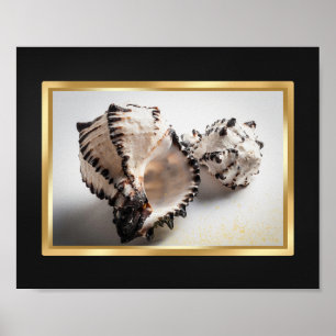 Black and Gold Tropical Seashell Printable Art Poster