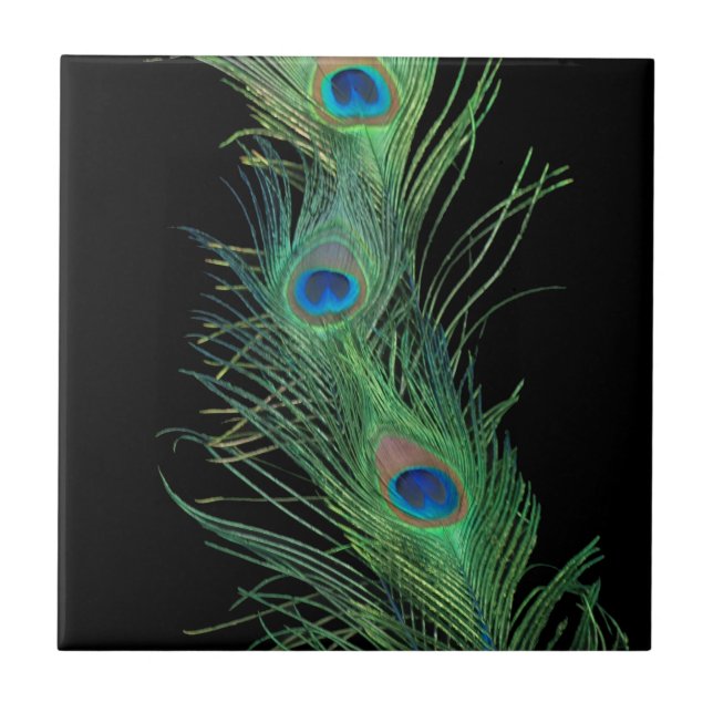 Black and Green Peacock Feathers Tile (Front)