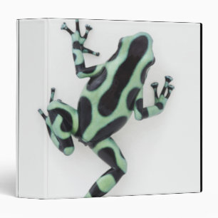 Black and Green Poison Dart Frog 2 Binder