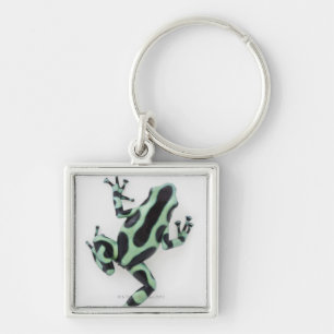 Black and Green Poison Dart Frog 2 Keychain