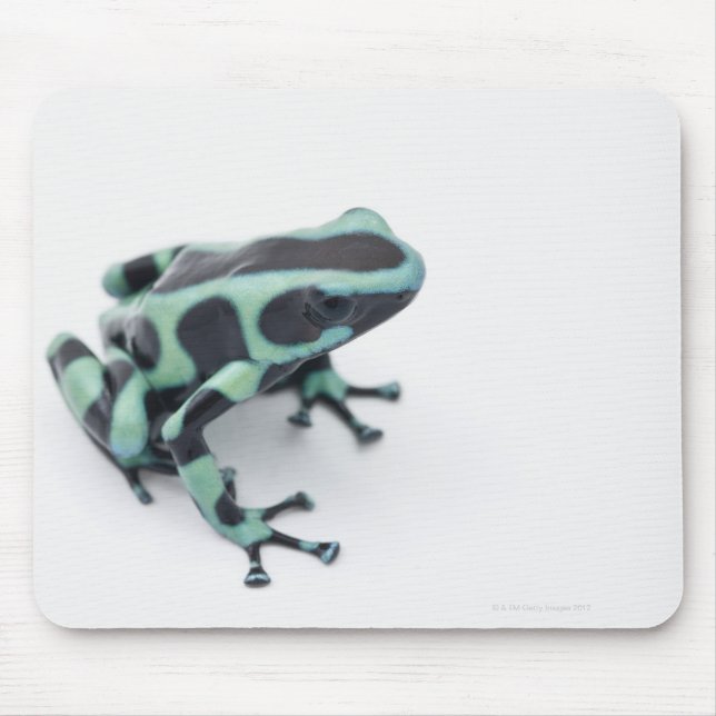 black and green poison dart frog (dendrobates mouse pad (Front)