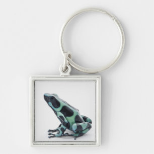 Black and Green Poison Dart Frog Keychain