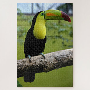 Black and Green Toucan on Tree Branch Jigsaw Puzzle