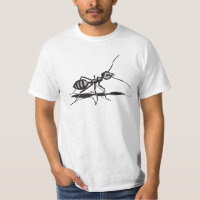 Black And Grey Insects Ant