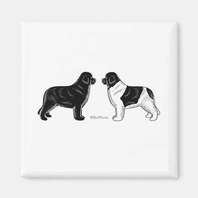Black and Landseer Newfoundland Dogs Magnet (Front)