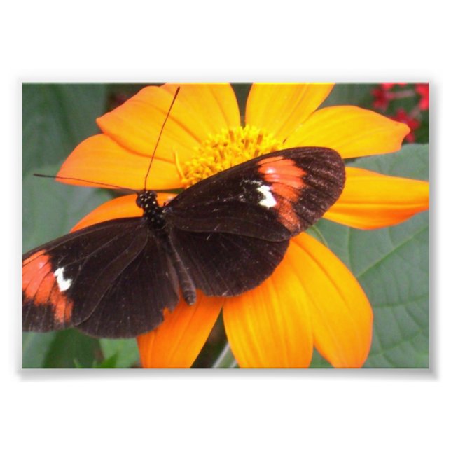 black and orange photo print (Front)