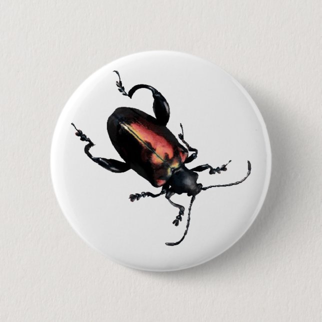 Black and Red Beetle bug 2 Inch Round Button (Front)