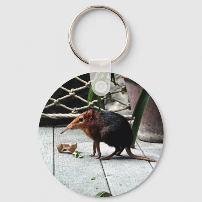 Black and Rufous Elephant Shrew Keychain (Front)