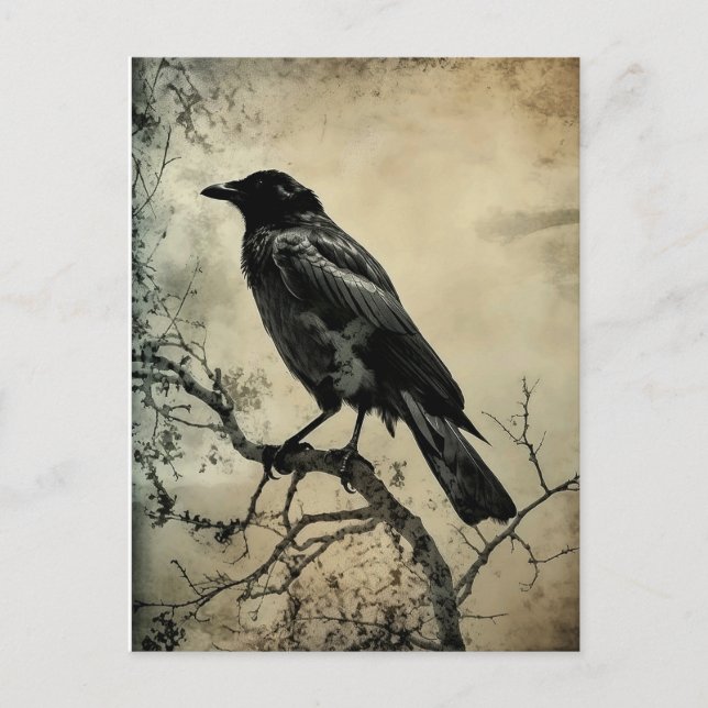 Black and Sepia Gothic Crow Postcard (Front)